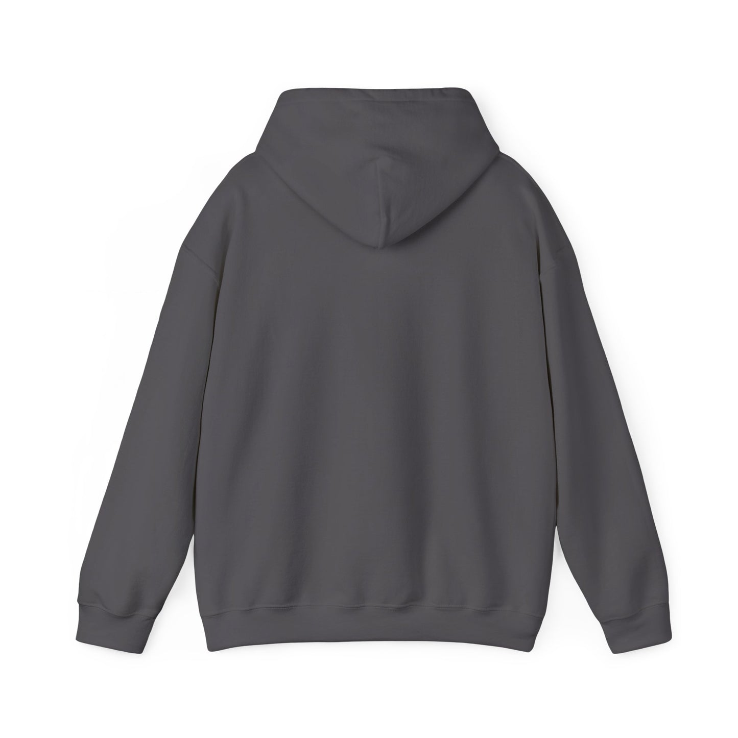 Dream Write Publish Unisex Hoodie