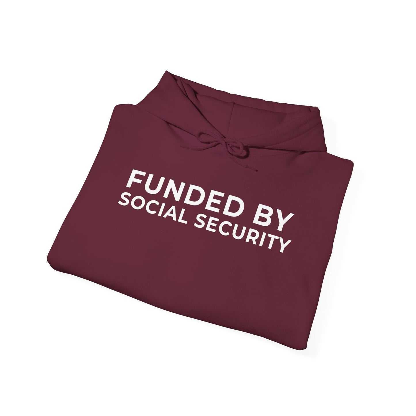Funded by Social Security Unisex Hoodie