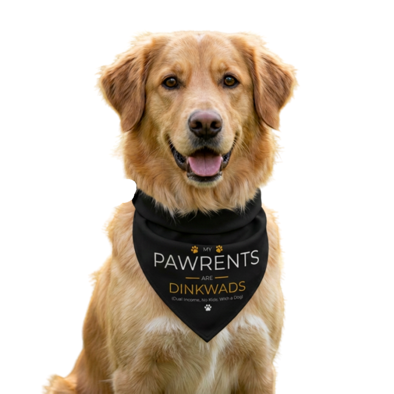 PAWRENTS DINKWADS Clip-on Pet Bandana